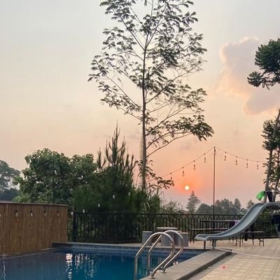 NovieHidayat's profile picture. 