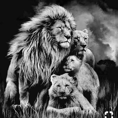 mcored's profile picture. 