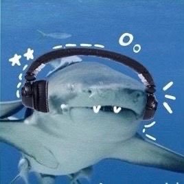 Strook_'s profile picture. 🦆