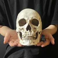 おかDust (@okadust) 's Twitter Profile
