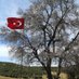 Uğur27FB (@ugur27fb) Twitter profile photo Uğur27FB (@ugur27fb) Twitter profile photo