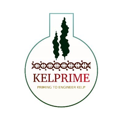 🔬 KELPRIME project (@forskningsradet)
Using priming to boost kelp resilience and yield.
Working on epigenetic priming memory for sustainable kelp farming 🌊🌱