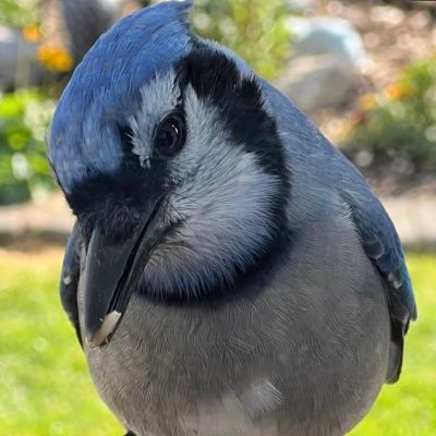 CarlosCapu99624's profile picture. 