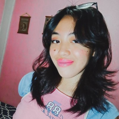 Hesika #100DaysofCode Profile