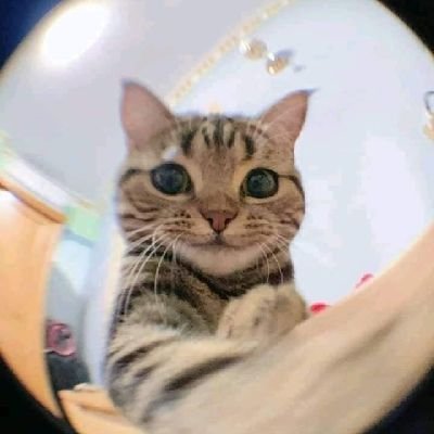 RalphBoje's profile picture. 