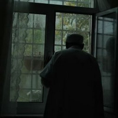 AliSayed1203's profile picture. 