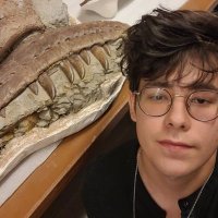 Elías Warshaw (@eliaswarshaw) 's Twitter Profile Photo