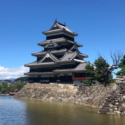 一人旅が恋しい。鉱物集めを始めた。