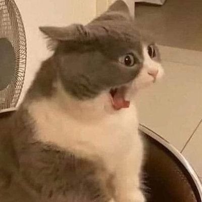 meowmeowcpa's profile picture. MAY 2024 CUTIE CPA ❤️
random rants sa buhay