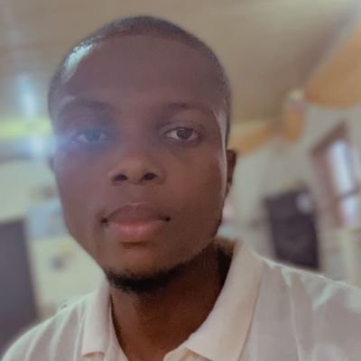 Aitishola's profile picture. Data analyst and web designer