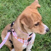 Tracy Ruane (@tracy_r_writes) 's Twitter Profile
