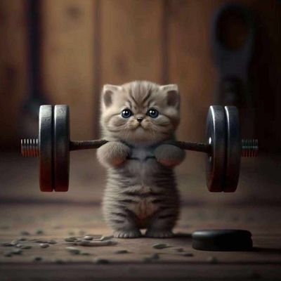 realabokifx's profile picture. Forex Enthusiast