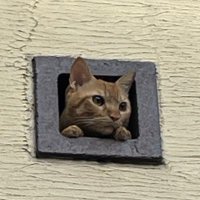 KAZUMA (@beerrilp8h5433) 's Twitter Profile