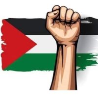 Ahmed Atef Gad ๐ต๐ธ (@ahmedatef010) 's Twitter Profile