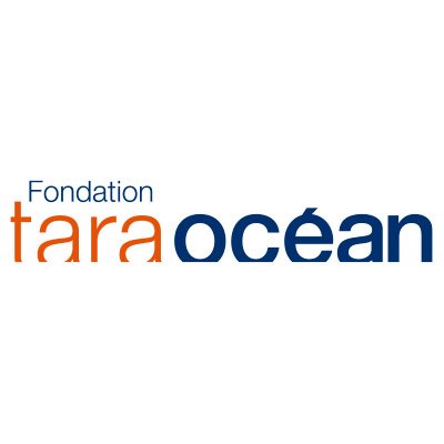 TaraOcean_ Profile Picture