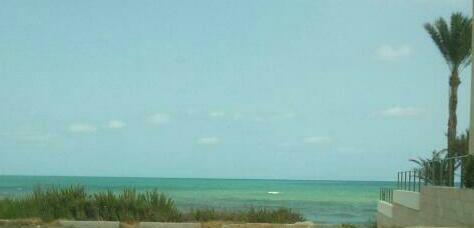 julies202's profile picture. 