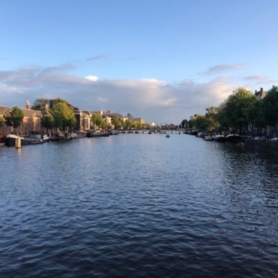 pupplie's profile picture. spontaneous 🏖| ts-jest 🚀| jest-preset-angular ✨