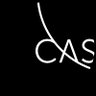 cas_see_uniri's profile picture. CAS – SEE is an organizational unit @UniRijeka specializing in scientific research in the social sciences and humanities.