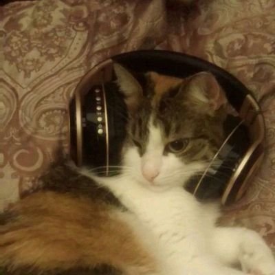 hrfdjtrjn's profile picture. 