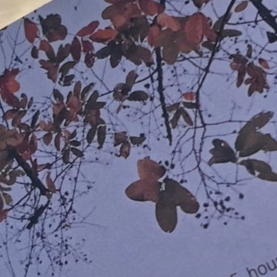 Jslc_lalala's profile picture. #LISA #BLACKPINK ❤️