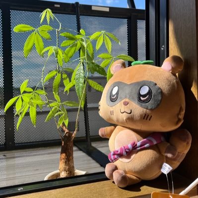 feat_Chahan's profile picture. 🍃🥜