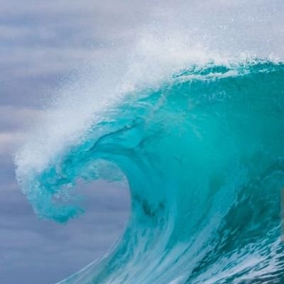 JonForgy's profile picture. Climate Breakdown