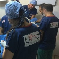 bVHd- BELEDİYE VETERİNER HEKİMLER DERNEĞİ (@infobvhd) 's Twitter Profile