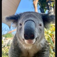 bzilla (@thebzilla) 's Twitter Profile