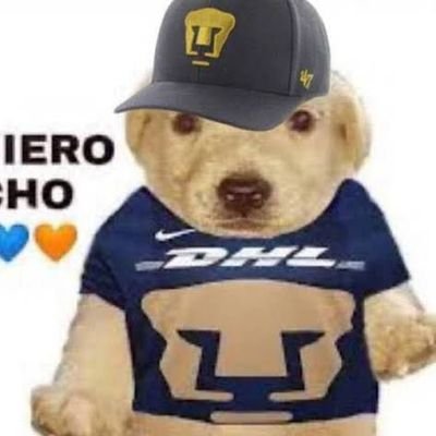 uriellikmtz's profile picture. 👌🏻👌🏻