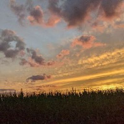 bkaugustus02's profile picture. 