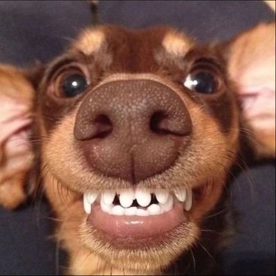 shympony67's profile picture. ga semuanya indah, makanya di indahin