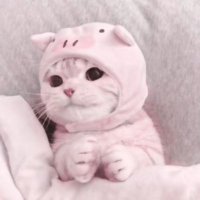 ぴの (@aaynn__s2) 's Twitter Profile