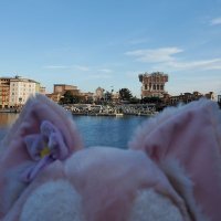 聖 (@hzr_05) Twitter profile photo