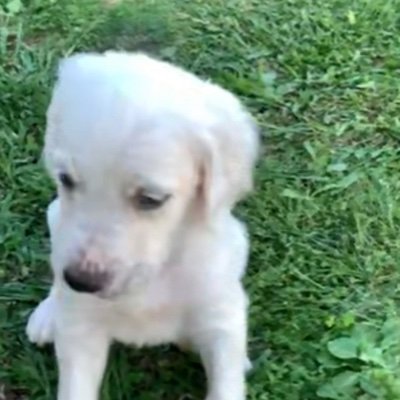 belrvc's profile picture. 