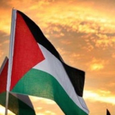 🇵🇸🇵🇸🇵🇸🇵🇸🇵🇸🇵🇸🇵🇸🇵🇸🇵🇸