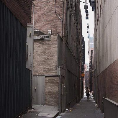 PutzMutz's profile picture. a