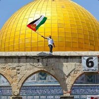 🇵🇸Rawiya Eldeeb(@RoaaEldeeb4) 's Twitter Profile Photo