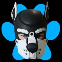 Caleb (@calebhuskypup) 's Twitter Profile