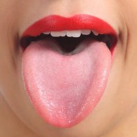 Lenguas Sexis (@lenguassexis) 's Twitter Profile