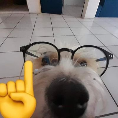 El_Matskip64i's profile picture. no text available