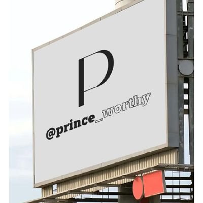 princeworthy31's profile picture. I don’t promote violence,🫡but peace is never an option 😂✨
