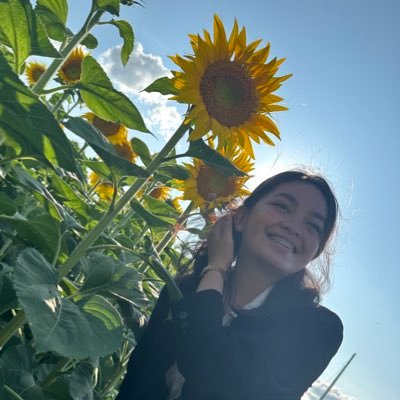 you're stalking a sunflower