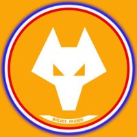 Wolves France🇫🇷🟠⚫️(@Wolves_FRA) 's Twitter Profile Photo