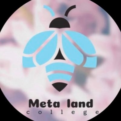 Metalandcollege founder/一般社団法人NFT認定講師協会代表理事/Roblox 大好き孫達3人@chi8682 /メタコレメディアパートナー/未来のリーダー育成 事業/ManabiAI