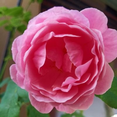 nsm41425140's profile picture. 