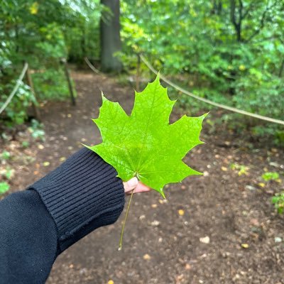 info_majitha's profile picture. 🛕🛕🇮🇳