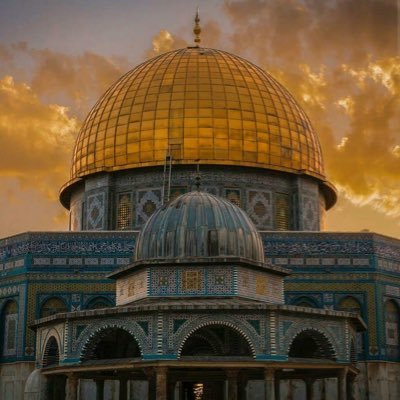 Jumana_Alahmadi's profile picture. Family Medicine 🩺