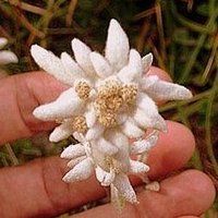 MIES🏴󠁧󠁢󠁥󠁮󠁧󠁿||*|| (@esquerrajosepm) 's Twitter Profile Photo