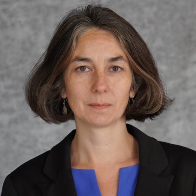 Dr. Audrey Truschke Profile