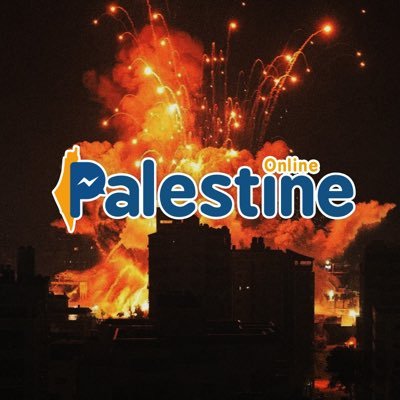 PALESTINE ONLINE 🇵🇸 Profile